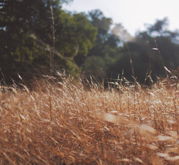 华伦西亚队势不可挡，打破强敌实现胜利